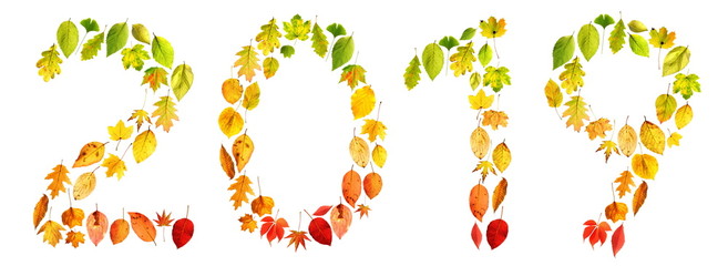 2019 Jahreszahl Herbstlaub bunte Blätter Montage