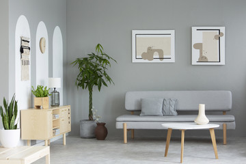 Posters above grey sofa in living room interior with plants next to wooden cupboard. Real photo