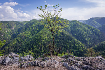 Slovak Paradise mountain range in Slovakia, view from hiking trail near Klastorisko tourist centre