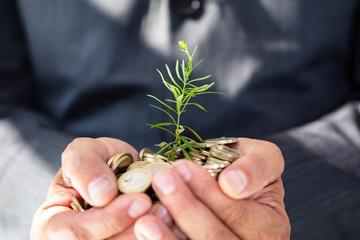 Businessman Holding Plant And Golden Coins
