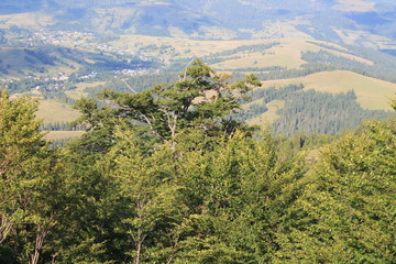 Скоро осінь