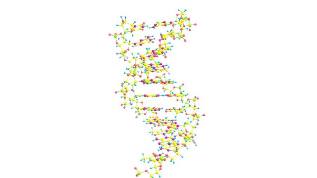 Rotating DNA molecule