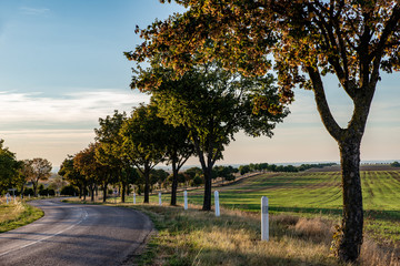 Route de campagne sinueuse en fin de journ&eacute;e en &eacute;t&eacute;