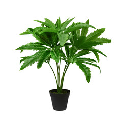 artificial bush in a pot on a white background