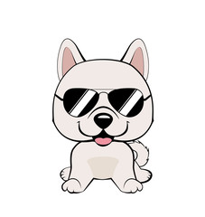 Cute vector cool dog, puppy isolated on white, Eskimo Dog or Spitz in sunglasses