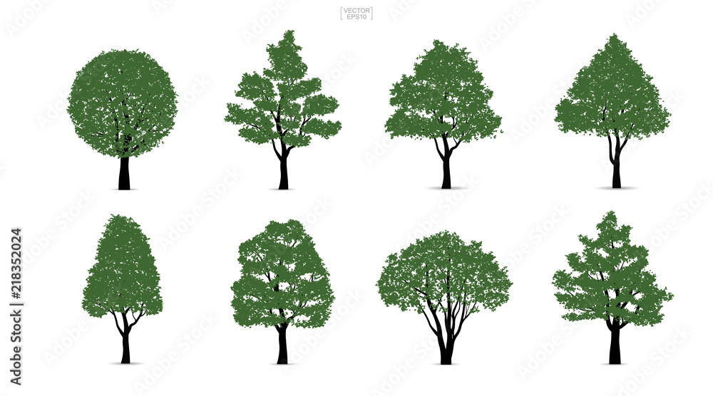 Poster set of green tree isolated on white background for landscape design and architectural compositions w