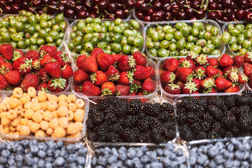 Close up stand with variety of beautiful fresh fruits in grocery store