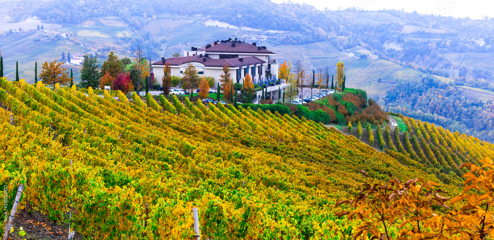 Wall mural Autumn landscape with gorgeous vineyards in Piedmont. Northen Italy