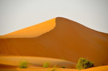 Fototapeta na wymiar dune in Abu Dhabi