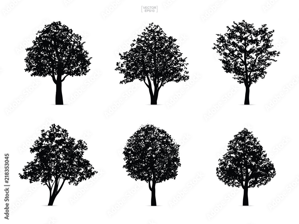 Poster set of tree silhouettes isolated on white background for landscape design and architectural composit