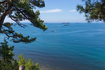Fototapeta na wymiar View of the Black Sea from the pine forest, a place called Blue Deep (Golubaja buhta). Gelendzhik district, Krasnodar region, Russia