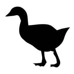 white background silhouette goose, duck