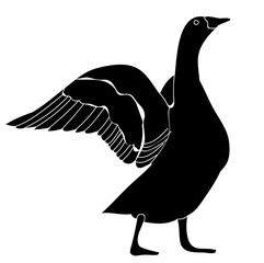  a white background silhouette goose, duck