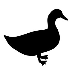 silhouette duck, bird, on white background