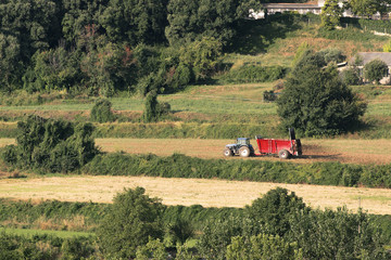 Fototapeta premium Red tractor machinery manure in the farmland. Agriculture concept and empty copy space for Editor's text.