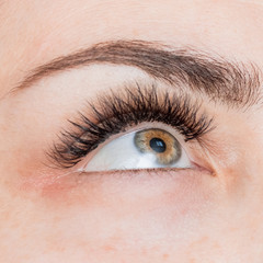 Obraz premium Kobieta oko z długimi rzęsami. Przedłużanie rzęs