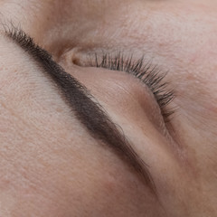Woman Eye with Long Eyelashes. Eyelash Extension