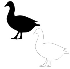 silhouette duck on white background, bird