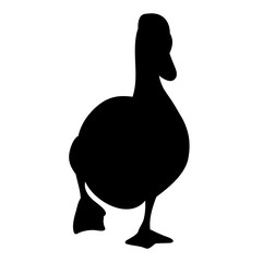 vector, isolated on a white background silhouette goose, duck