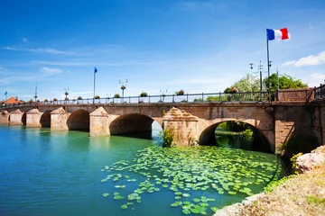Foto op Plexiglas Bridge over French Haute Saone river, Gray town © Sergey Novikov
