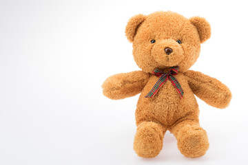 Brown bear doll studio shot on white background