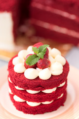 Mint leaves on red velvet cake, close up shot of colorful bakery