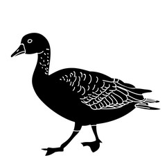 vector, silhouette of a duck, a bird on a white background