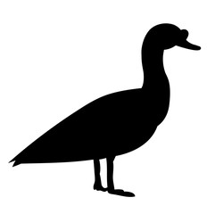 silhouette goose, duck