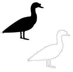 silhouette goose, duck, bird
