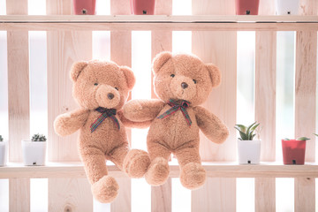 Two brown teddy dolls sitting together on wood shelf