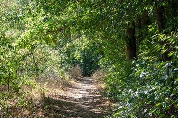 Eltzer Burgpanorama