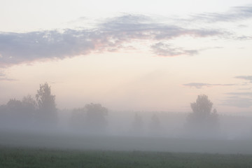 Misty meadow landscape at dawn