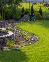 Rubber garden hose laying on lawn and bark garden rim.