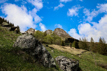 Vebier - switzerland