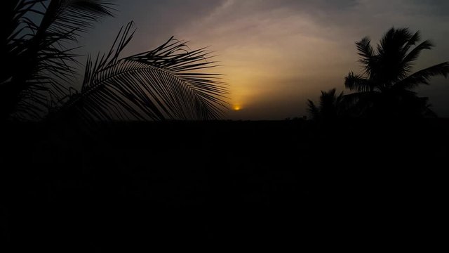 An amazing view of sunset through coconut and arecanut trees.