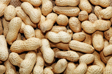 Peanuts in shells on the background of sacking.