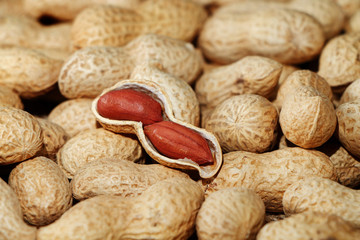 Peanuts on the background of sack cloth