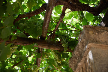 The main church of Arkadi Monastery, symbol of the struggle of Cretans against the Ottoman Empire, Rethymno, Crete, Greece.
