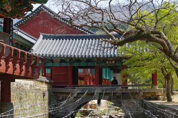 Songgwangsa Buddhist Temple