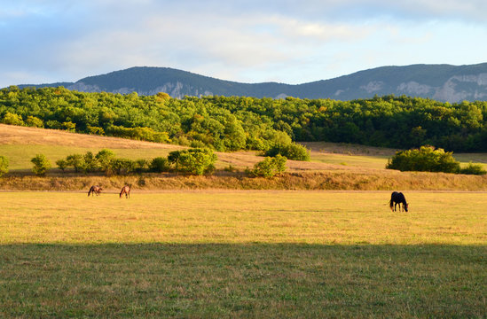 Mount the Boyka in the Crimea near the village of Sokolinoe