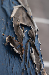 Peeling Paint Sill