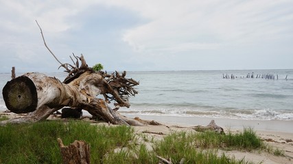 Cahuita National Park, Costa Rica