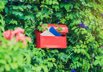 Red MailBox on vine wall background
