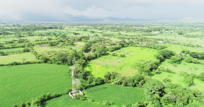 Drone flying through green fields.