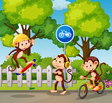 A group of monkey and extreme sport