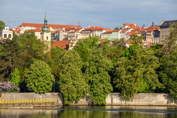 Fototapeta na wymiar Blooming trees over the river, in the background houses above Prague Castle
