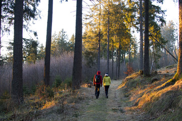 Couple effectuant une randonnée en forêt en fin de journée