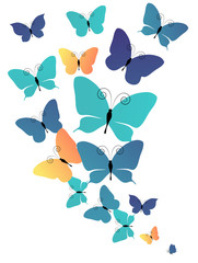 beautiful blue butterflies, isolated  on a white