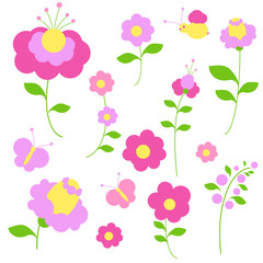 beautiful pink flowers , on a white