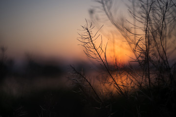 Fototapeta premium sunset